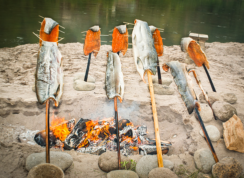 Wild Salmon cooking Traditional Native American style on.open fire, Sandy River in background.
