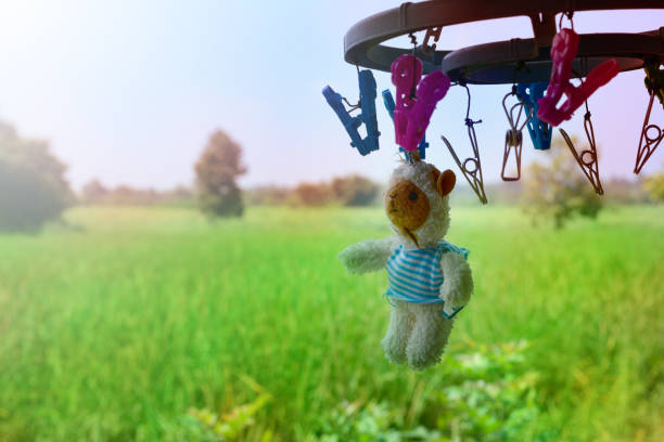 istock drying  doll by hanging with plastic cloth clamp and sunlight at afternoon 868369950