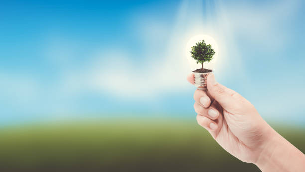 istock hand holding a light bulb with energy and fresh green tree inside on nature background, environment and ecology concept. 868372606