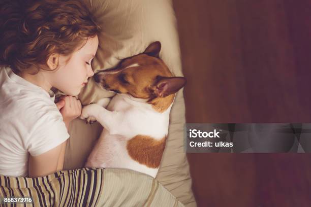 Muchacha Dulce Rizada Y Gato Perro Russell Es Dormir En La Noche Foto de stock y más banco de imágenes de Perro