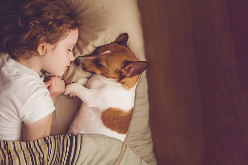 Sweet curly girl and jack russell dog is sleeping in night.