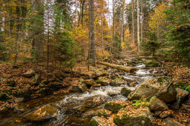 istock Mountain stream with waterfall in an autumn forest. time exposure 868376552