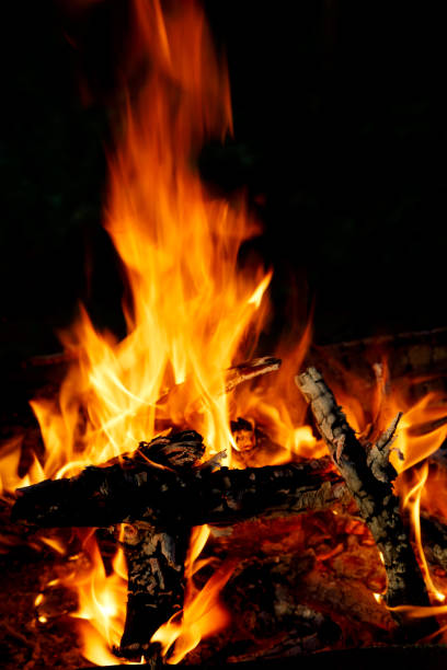 istock Hot bonfire burns on the beach on coastline 868380884