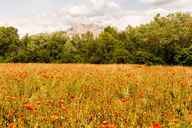 famous mountain that inspired Paul Cézanne
