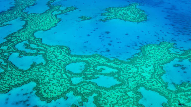 istock Exploring the Great Barrier Reef from the air in Australia 868388728