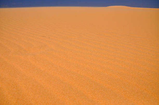 istock San dunes in the desert 868392334