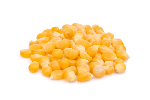 istock pile of dried corn seeds isolated on white background 868393100