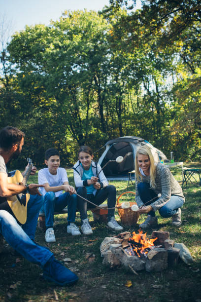 istock Family camping together 868393176