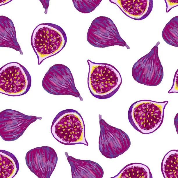 Vector illustration of Seamless Fig Watercolor Pattern Background
