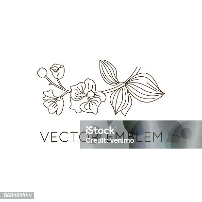 istock Vector emblem design template - floral illustration in simple minimal linear style 868404444