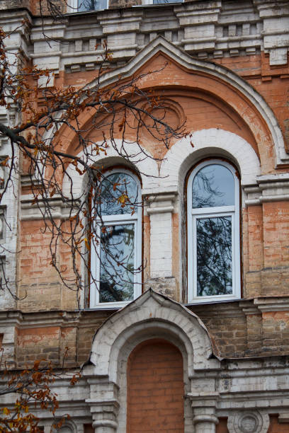 istock Beautiful windows of classic style and tree 868404588