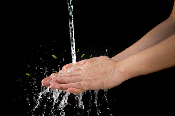 istock wash hand cleaning dirt and bacteria 868405356