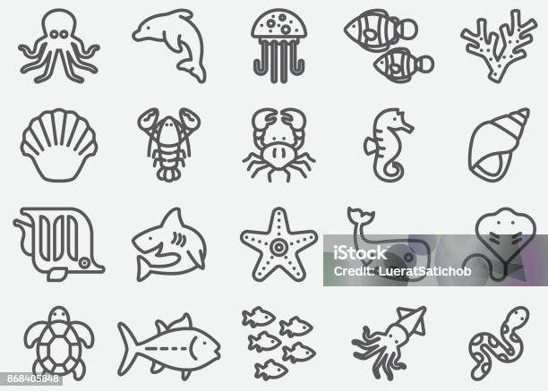 Meerestiere Linie Symbole Stock Vektor Art und mehr Bilder von Delfin - Delfin, Vektor, Chelonioidea
