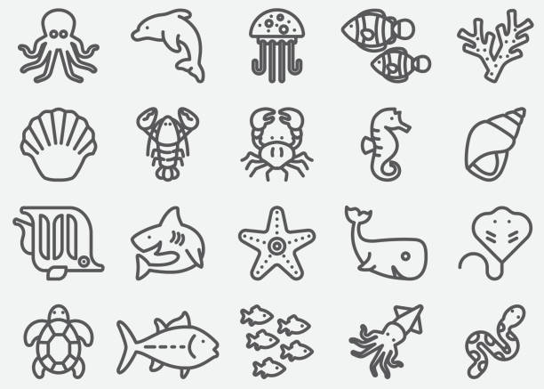 ikony linii zwierząt oceanicznych - underwater animal sea horse fish stock illustrations