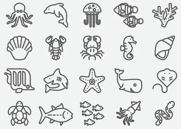 Vector illustration of Ocean Animals  Line Icons