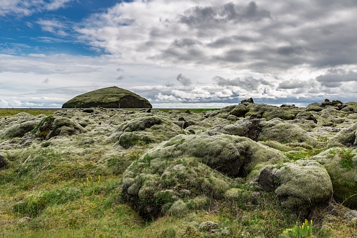 Famous Eldhraun Lava Field, covered with Woolly Fringe Moss. Eldhraun, South Coast, Iceland.