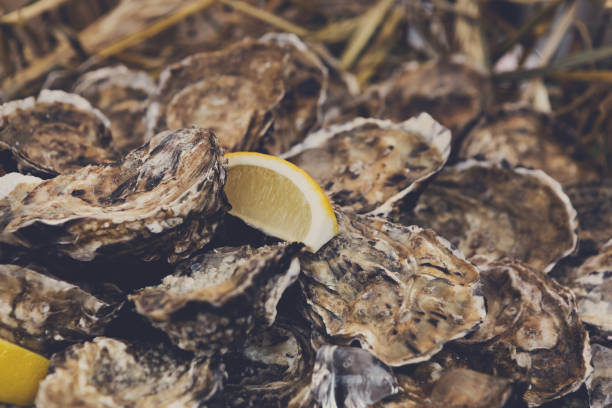 Plenty of seafood, oysters in basket