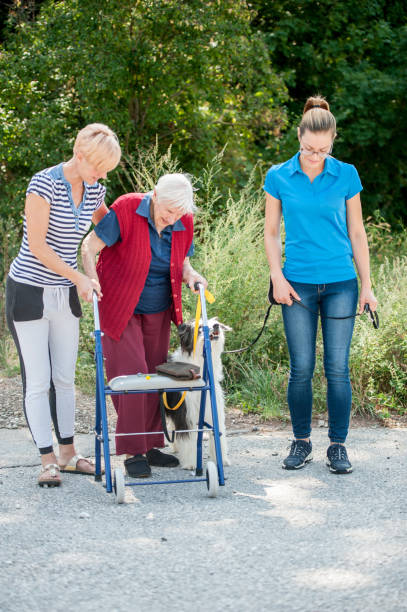 istock Trained Dog Helping Senior Woman To Keep Stability While Walking 868412628