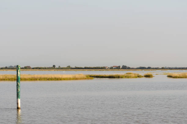 istock bibione lagoon landscapes 868413644