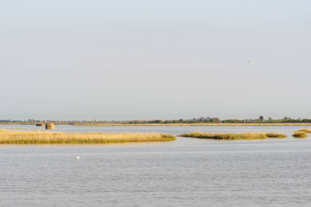 istock bibione lagoon landscapes 868414124