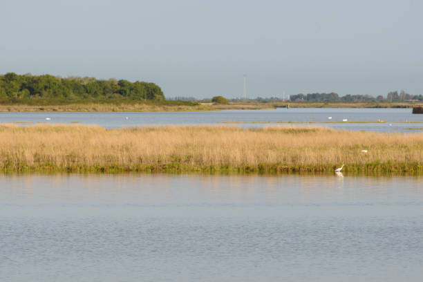 istock bibione lagoon landscapes 868417156