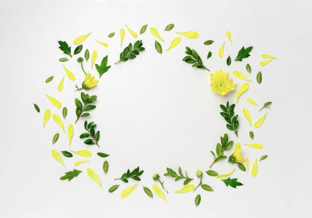 istock Floral botanical background with a space for a text 868421766