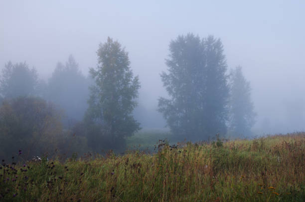 istock foggy autumn morning 868425368