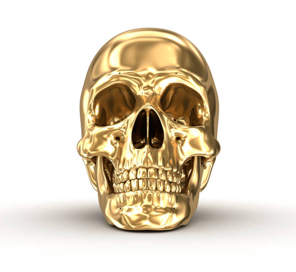 白、3 D イラストの黄金人間の頭蓋骨