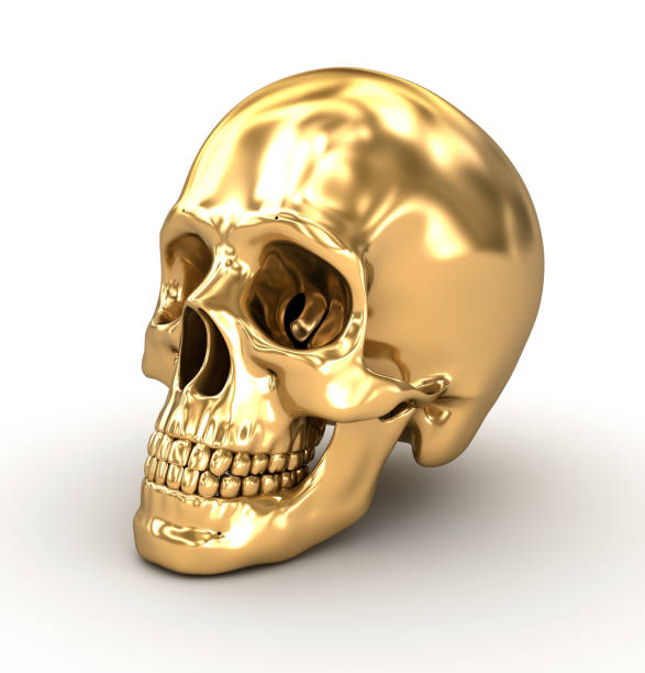 istock Golden human skull over white , 3D illustration 868425538