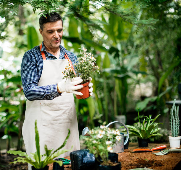 istock A man is planting flowers 868426300
