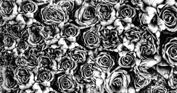 istock background vintage roses 868429418