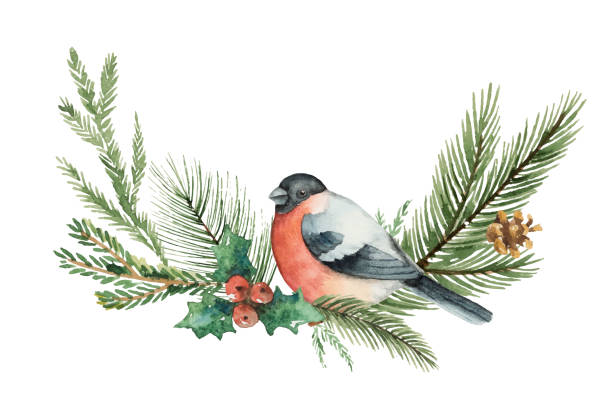 istock Watercolor vector Christmas wreath with fir branches and bullfinch. 868430524