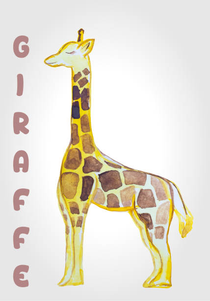 giraffe clip art, illustration aquarell, isoliert auf weißem hintergrund - animal animal neck cute safari animals stock-grafiken, -clipart, -cartoons und -symbole