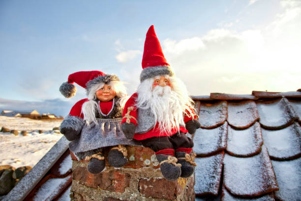 The beautiful Christmas elves in the forest