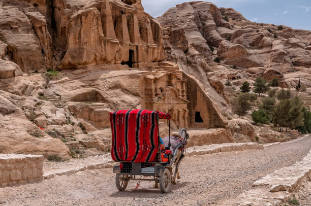 Tourist transport (carriage) near entrance to famous Petra site. Petra, Jordan. Tourist transport (carriage) near entrance to famous Petra site. Petra, Jordan. banana tree stock pictures, royalty-free photos & images