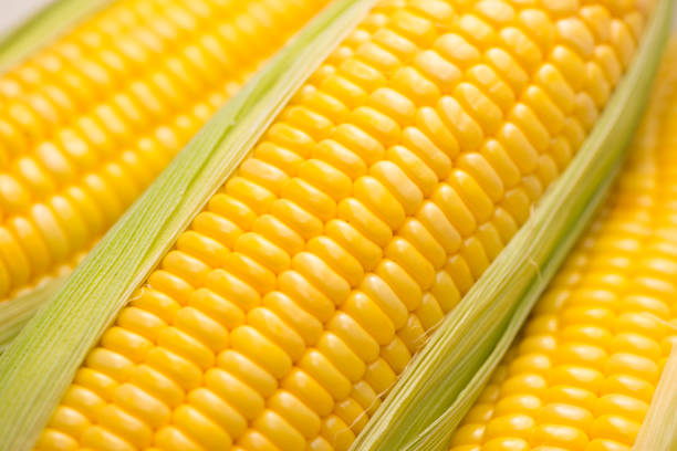 istock Closeup of Fresh corn on cobs on wooden table. 868451568