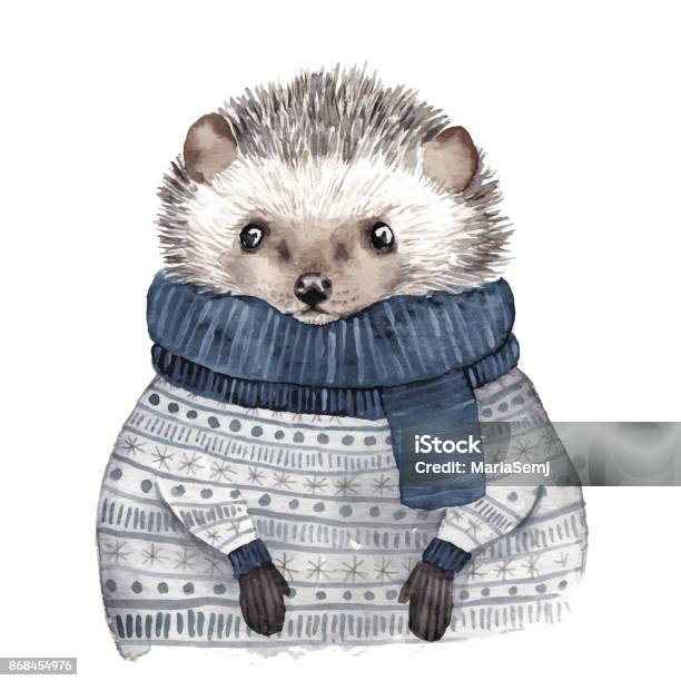 Cute Watercolor Hedgehog Stock Illustration - Download Image Now - Animal, Watercolor Painting, Winter