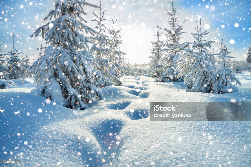 winter landscape with the forest  and blue sky beautiful winter landscape with the forest  and blue sky Snowing Stock Photo