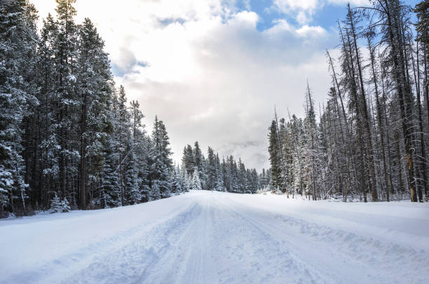 Icy Roads at Sunrise Winter Landscape Mountain Highway Ouray, Colorado Snowscape Scenery - 4K Video Available (Professionally retouched - Lightroom / Photoshop -downsampled as needed for clarity and select focus used for dramatic effect)