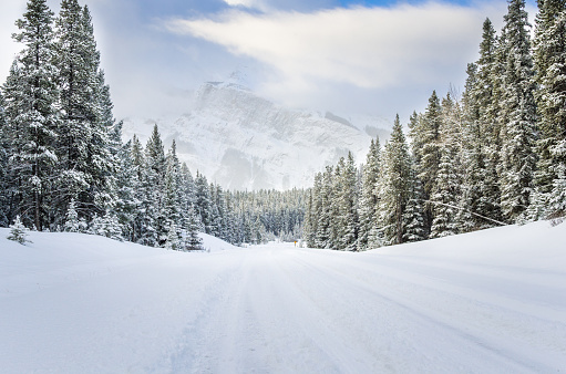 Snowy Road in a Forested Mountain Landcape in Winter. A Snowcapped Towering Mountain is Visible in Background through the Mist. Banff National Park, AB, Canada.