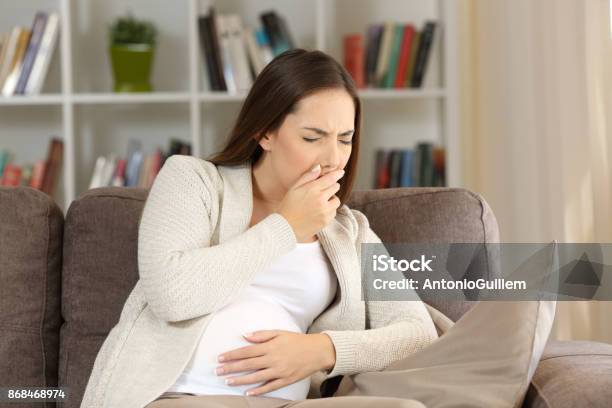 Pregnant Woman With Nausea At Home Stock Photo - Download Image Now - Confusion, Digestive System, Pregnant