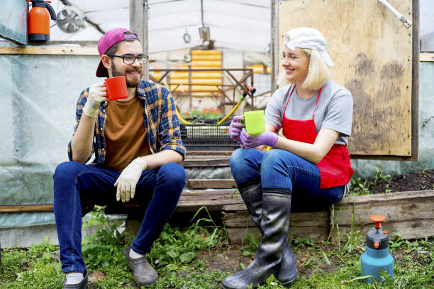 istock People working in a greenhouse 868469086