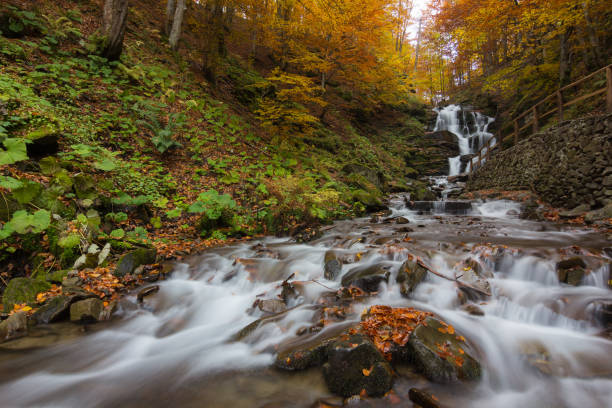 istock Autumn waterfall in forest landscape 868469634