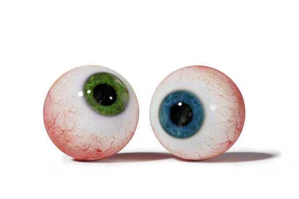 istock two realistic human eyeballs with blue and green iris isolated on white background (3d illustration) 868469830
