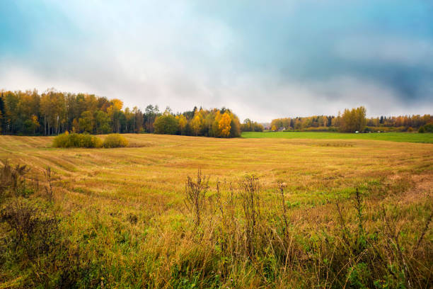 istock Fall landscape near Cesis town, Latvia 868474918