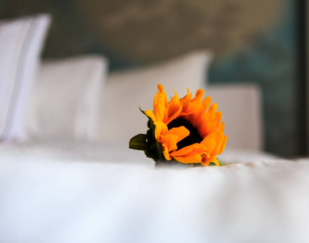 istock Close up of flowers on white bedding in bedroom setting 868477414