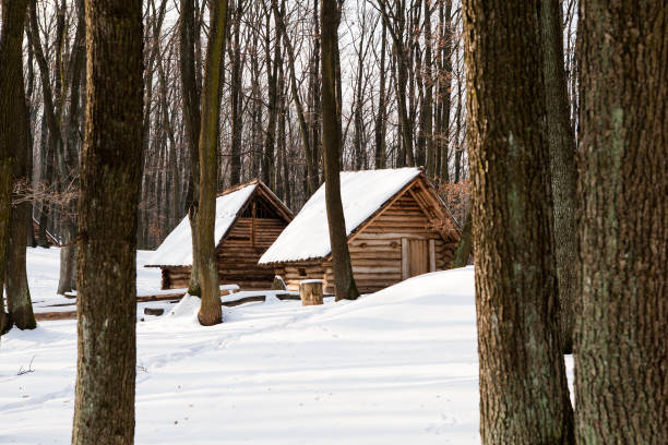 istock Little cottage in winter mountains 868478648