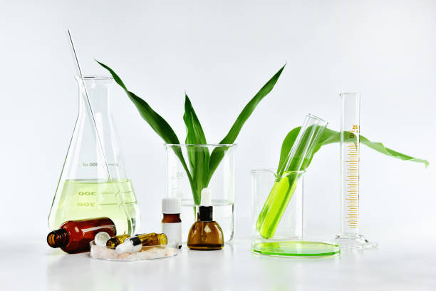istock Cosmetic bottle containers with green herbal leaves and scientific glassware, Blank label package for branding mock-up, Research and develop natural organic beauty skincare product concept. 868480962