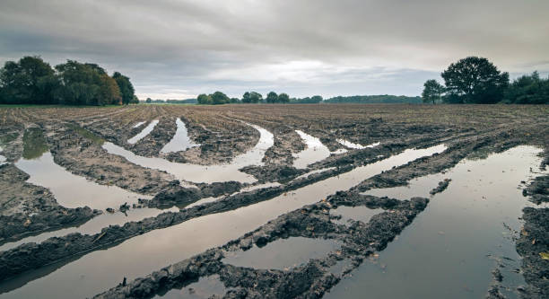 istock Tire tracks with rainwater in arable field under dark cloudy sky 868481914