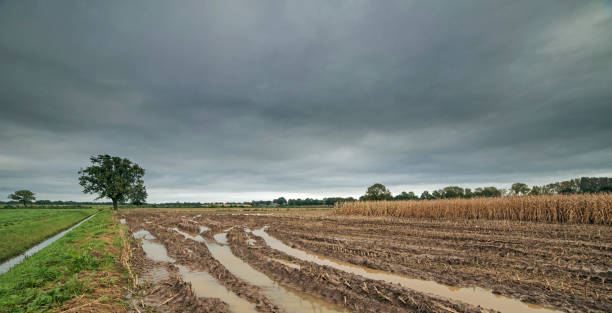 istock Tire tracks with rainwater in arable field under dark cloudy sky 868481946